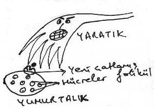 Yaratk